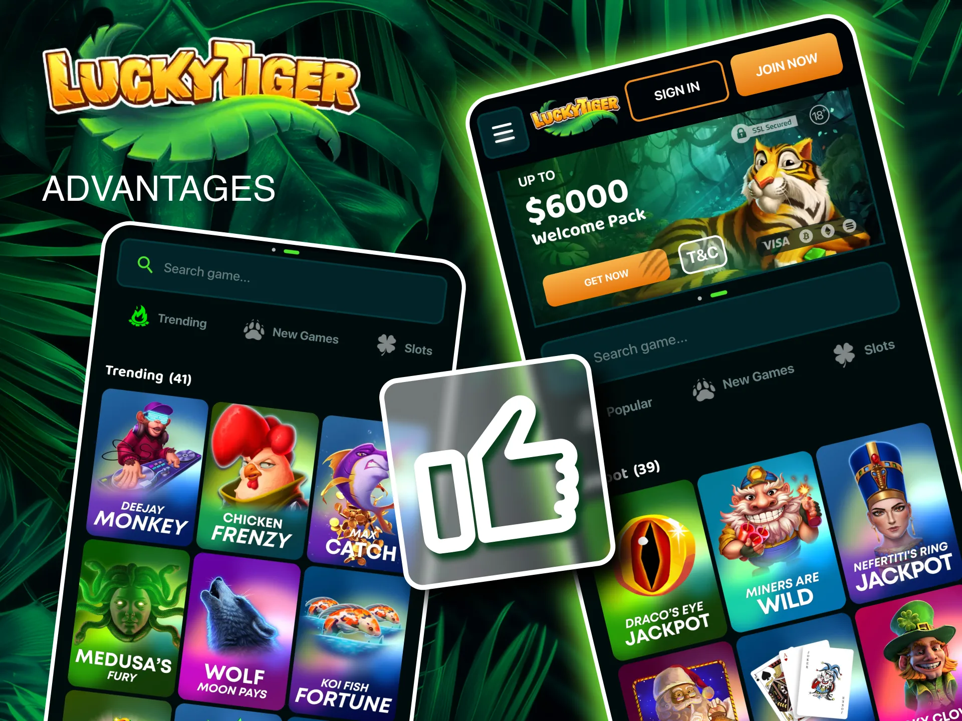 Start earning commissions with Lucky Tiger’s affiliate program, designed for success.