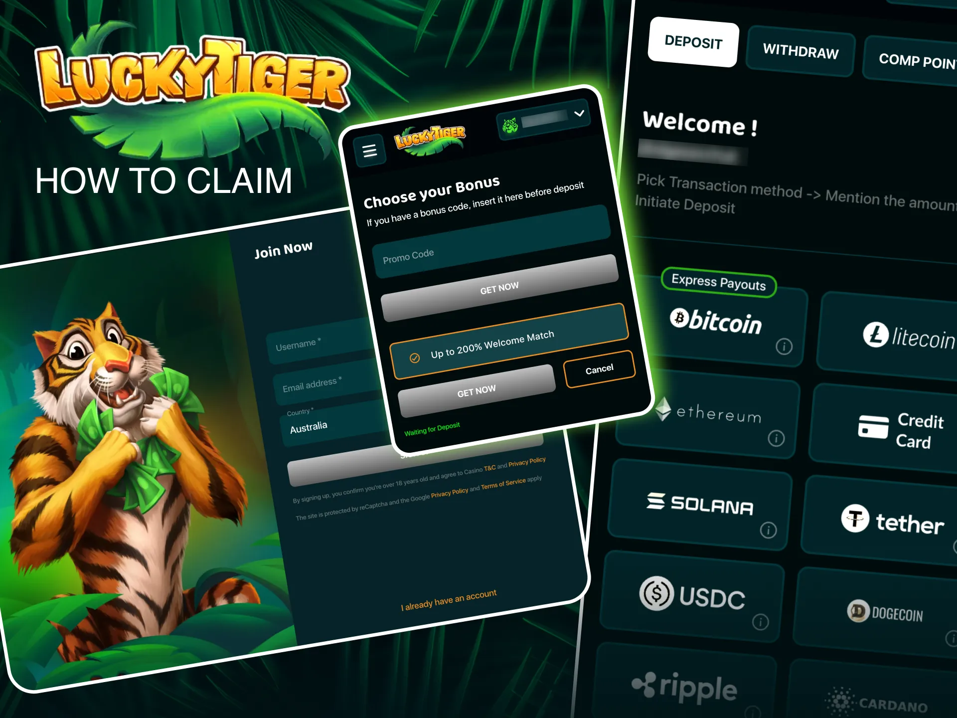 Claim bonuses at Lucky Tiger by registering, depositing, and activating rewards automatically.