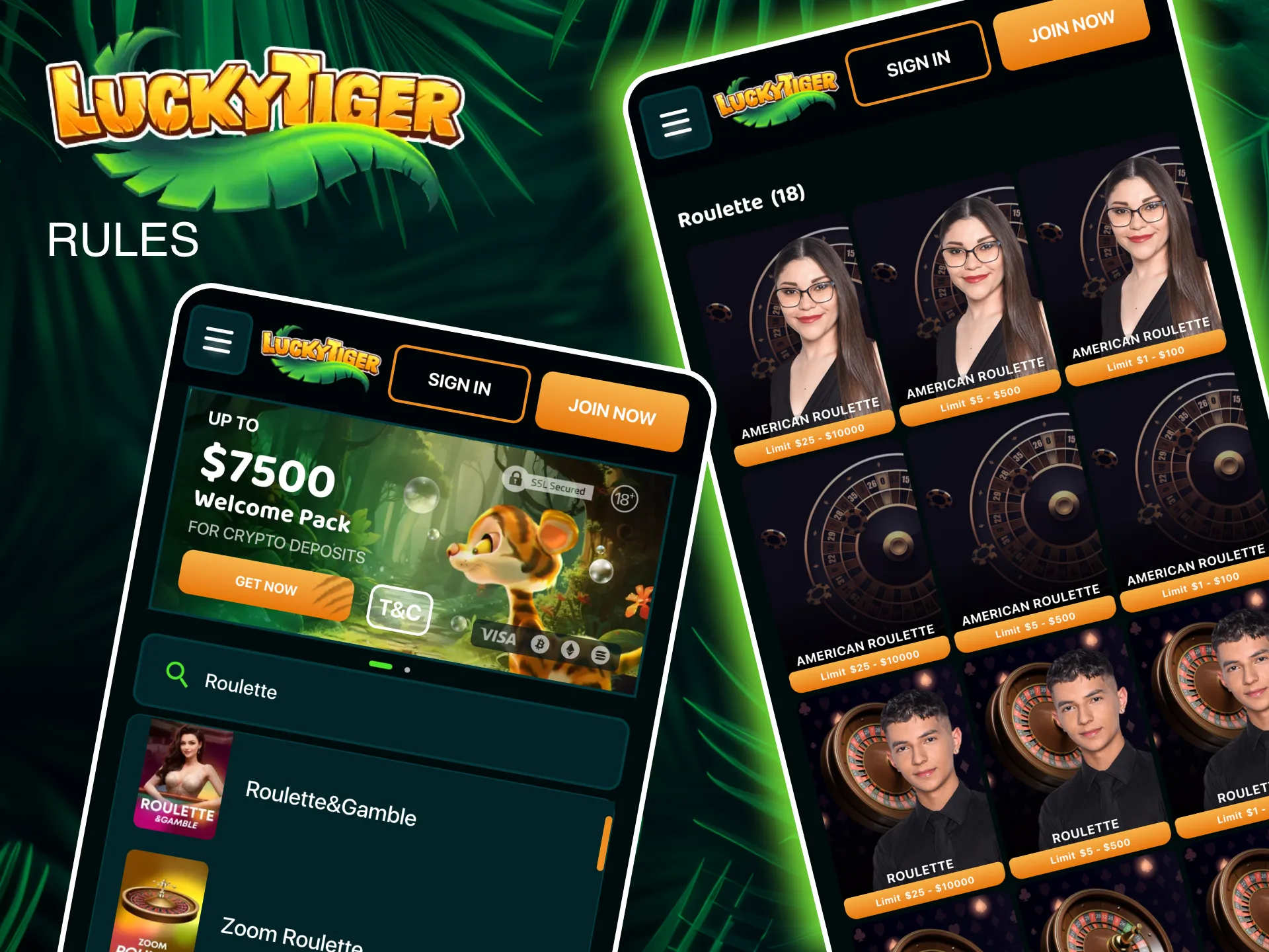 Master the essentials of Lucky Tiger roulette, including spinning wheels and informed bets.